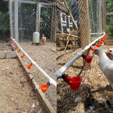 10Pcs Automatic Chicken Quail Drinker Bowl Bird Water Cups Straight Pipe With Yellow Nipple Poultry Drinking Water System