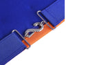 INSTALLED WORTHY MASTER ST. LAWRENCE THE MARTYR AMD APRON - BLUE & ORANGE BORDERS WITH SILVER GRIDIRON